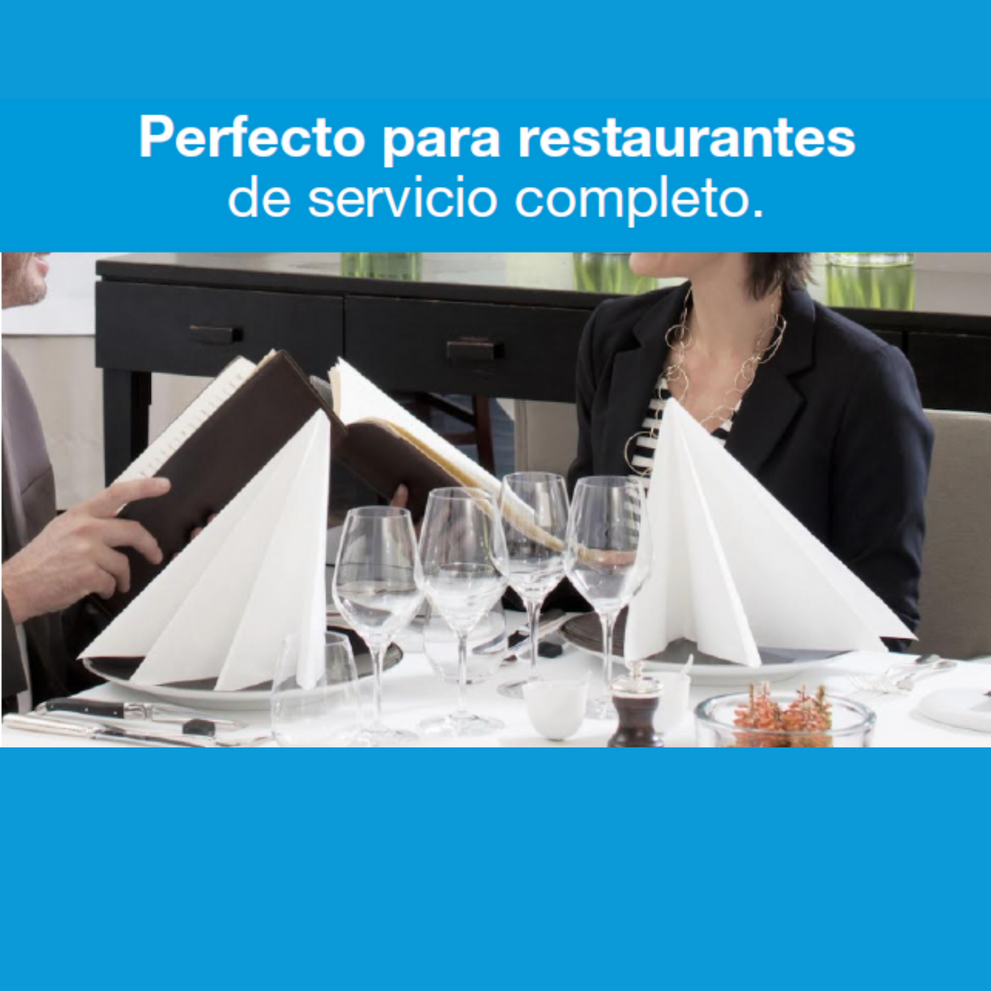 Servilleta Tork Linstyle Blanca 12X50 (39X39)
