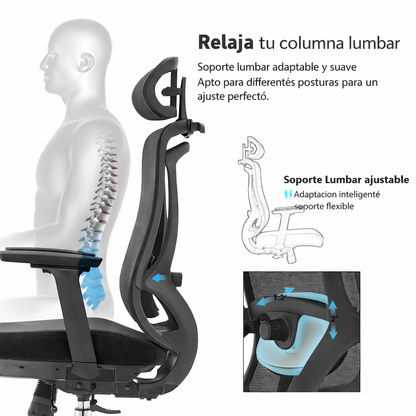Silla de Ecritorio Ergonomica Premium - Valtora - Icon Terra Plus