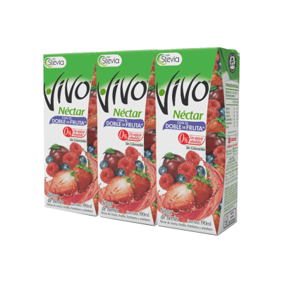 Jugo Berries Vivo 190 ml 3 unidades